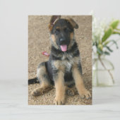 Uitnodiging tot herdenking van Shepherd Puppy (Staand voorkant)