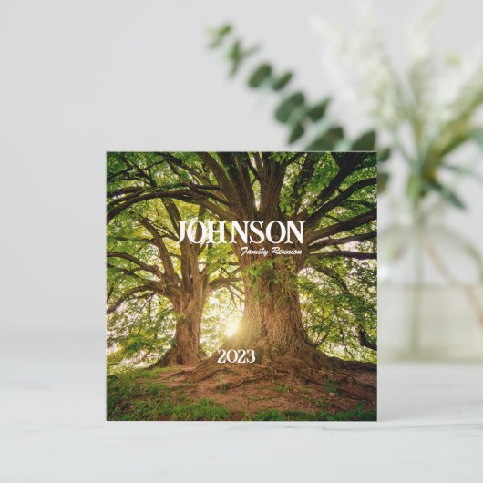 Uitnodiging tot hereniging van bosboomstammen (Staand voorkant)