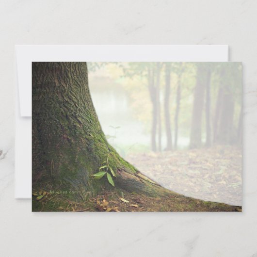 Uitnodiging tot het indienen van Jubilea voor foto (Achterkant)