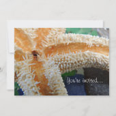 Uitnodiging tot het indienen van vis en Zee (Voorkant)