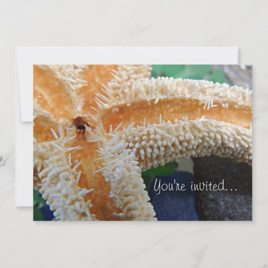 Uitnodiging tot het indienen van vis en Zee (Voorkant)