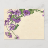 Uitnodiging tot het ontvangen van begrotingsmiddel briefkaart (Achterkant)