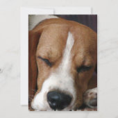 Uitnodiging tot het Snoozing Beagle (Voorkant)
