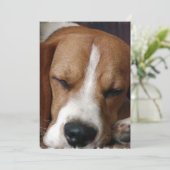 Uitnodiging tot het Snoozing Beagle (Staand voorkant)