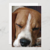Uitnodiging tot het Snoozing Beagle (Voorkant / Achterkant)