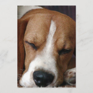 Uitnodiging tot het Snoozing Beagle