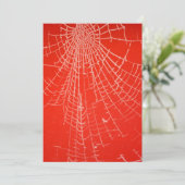 Uitnodiging tot het Web van Spiders (Staand voorkant)