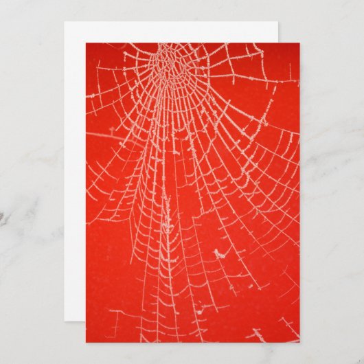 Uitnodiging tot het Web van Spiders (Voorkant / Achterkant)