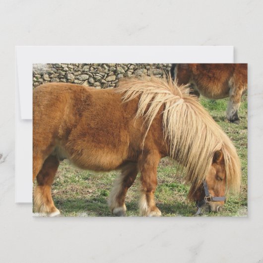 Uitnodiging tot kastanjepaarden (Voorkant)