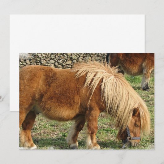 Uitnodiging tot kastanjepaarden (Voorkant / Achterkant)