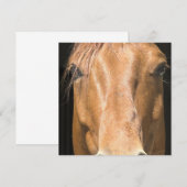 Uitnodiging tot kastanjepaarden (Voorkant / Achterkant)