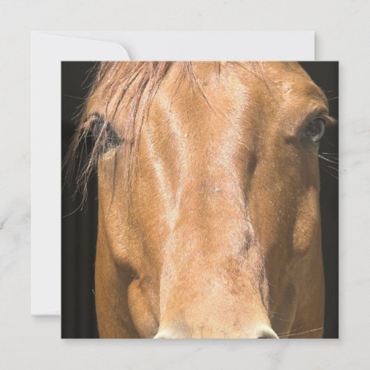 Uitnodiging tot kastanjepaarden (Voorkant)