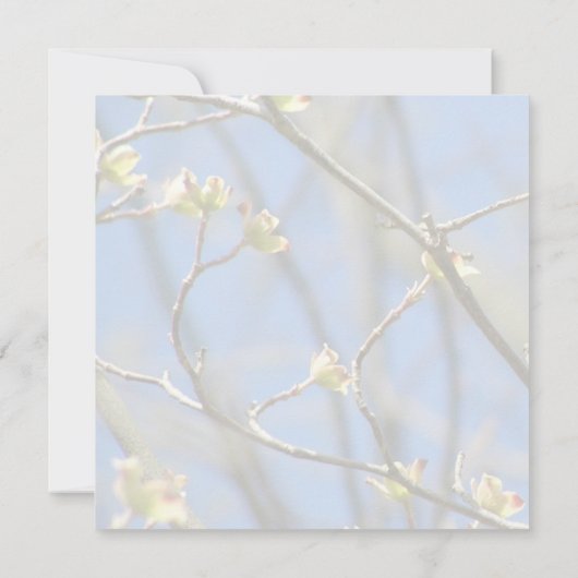 Uitnodiging tot lente-bloesems huwelijk (Achterkant)