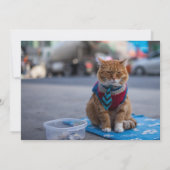 Uitnodiging tot mooie zakenkat (Achterkant)