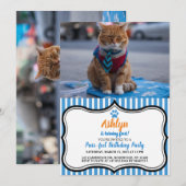 Uitnodiging tot mooie zakenkat (Voorkant / Achterkant)