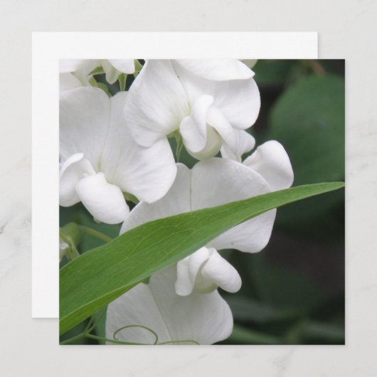 Uitnodiging tot pekelvrij zoet (Voorkant / Achterkant)