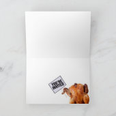 UITNODIGING TOT THANKSGIVING (Binnen)