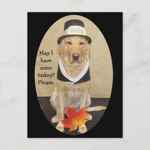 Uitnodiging tot Thanksgiving Briefkaart