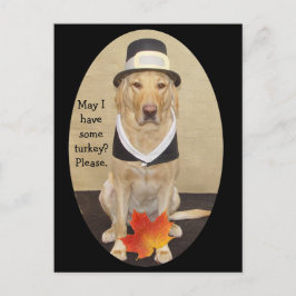 Uitnodiging tot Thanksgiving Briefkaart