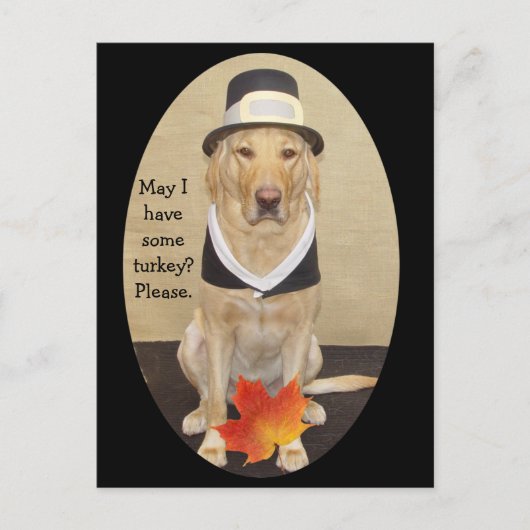 Uitnodiging tot Thanksgiving Briefkaart (Voorkant)