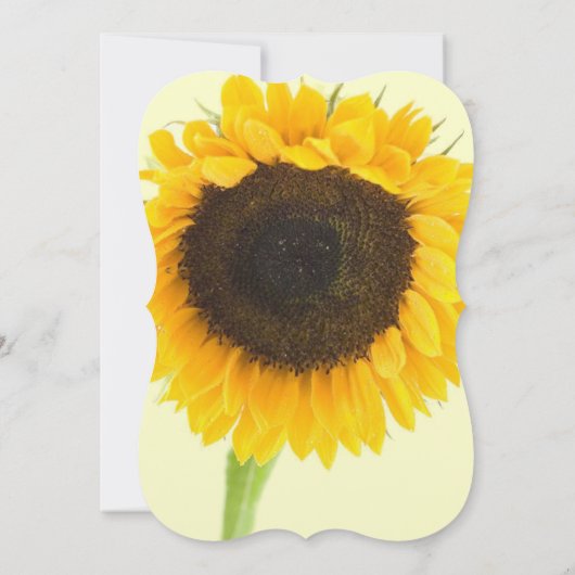 Uitnodiging tot uitwijking van de Rustische Landkr (Achterkant)