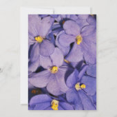 Uitnodiging tot uitzending van Afrikaanse Violets  (Achterkant)