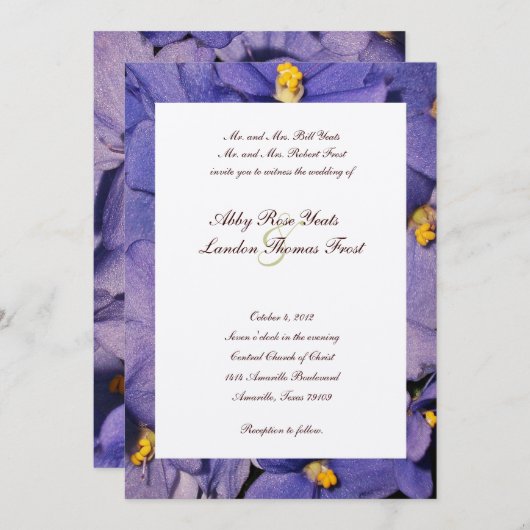 Uitnodiging tot uitzending van Afrikaanse Violets  (Voorkant / Achterkant)