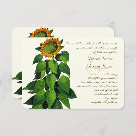 Uitnodiging tot uitzending van een roestvrij Roman (Voorkant / Achterkant)