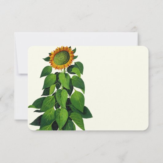 Uitnodiging tot uitzending van een roestvrij Roman (Achterkant)