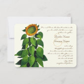 Uitnodiging tot uitzending van een roestvrij Roman (Voorkant)