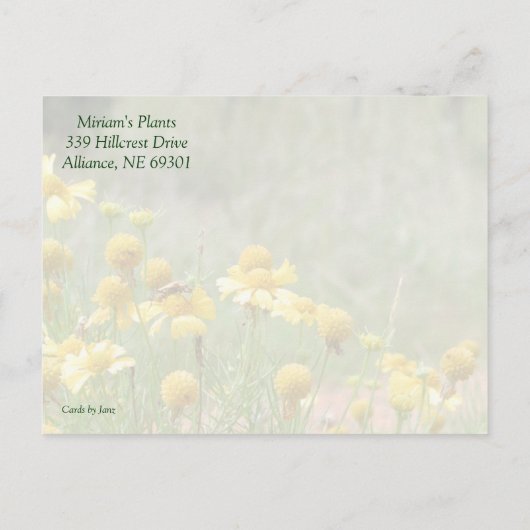 Uitnodiging tot verkoop in de tuin (Achterkant)