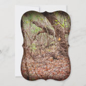 Uitnodiging tot weddenschap in het rijke land (Achterkant)