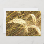 Uitnodiging tot weddenschap over Boerderij in het  (Achterkant)