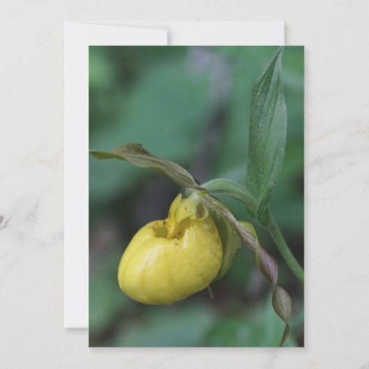 Uitnodiging tot weduwschap met de beste vrouw (Achterkant)