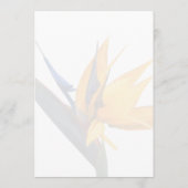 Uitnodiging tot weduwschap met de paradijzen (Achterkant)