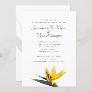 Uitnodiging tot weduwschap met de paradijzen