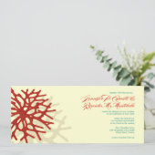 Uitnodiging tot weduwschap rond koraal in de Oostz (Staand voorkant)