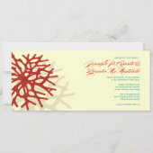 Uitnodiging tot weduwschap rond koraal in de Oostz (Voorkant)