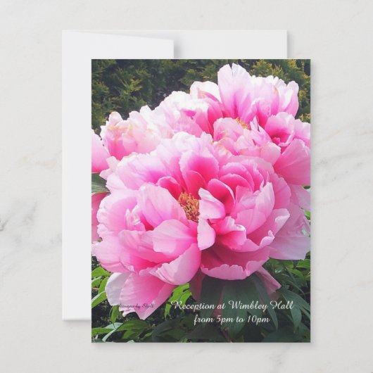 Uitnodiging tot weduwschap tussen prachtige roze v (Achterkant)