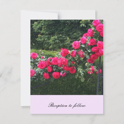 Uitnodiging tot weduwschap van rode rozen (Achterkant)