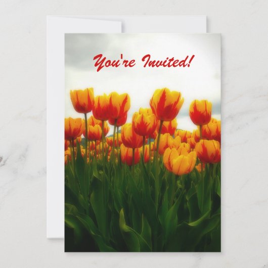 Uitnodiging  Tulps (Voorkant)