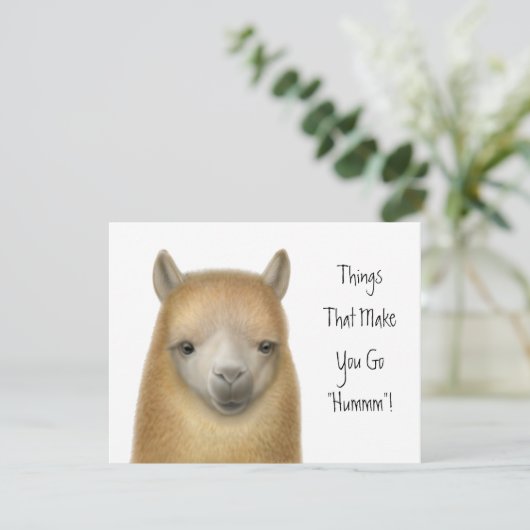 Uitnodiging van Alpaca (Staand voorkant)