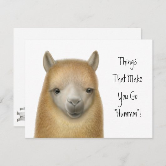 Uitnodiging van Alpaca (Voorkant / Achterkant)