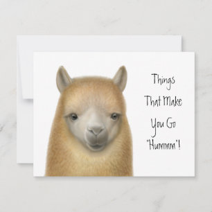 Uitnodiging van Alpaca