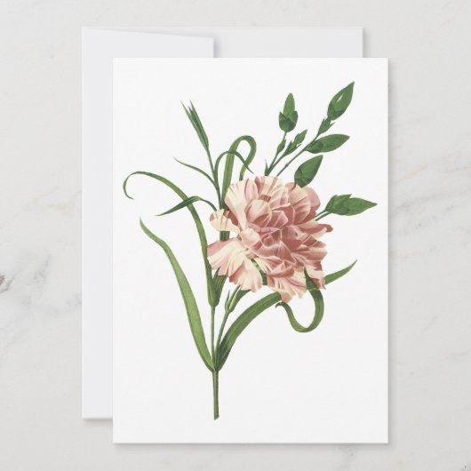 Uitnodiging van anjers (Voorkant)