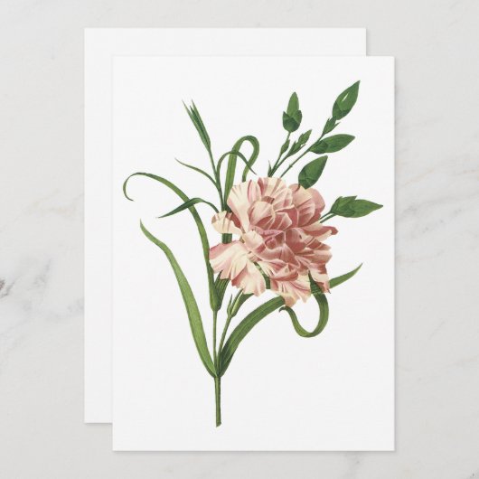 Uitnodiging van anjers (Voorkant / Achterkant)