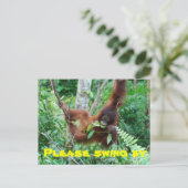 Uitnodiging van Cute Animal Swingers Party (Staand voorkant)