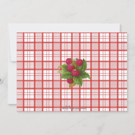 Uitnodiging van de Afraberry Birthday Party (Achterkant)