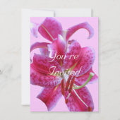 Uitnodiging van de dag—Het Overzicht van Stargazer (Voorkant)