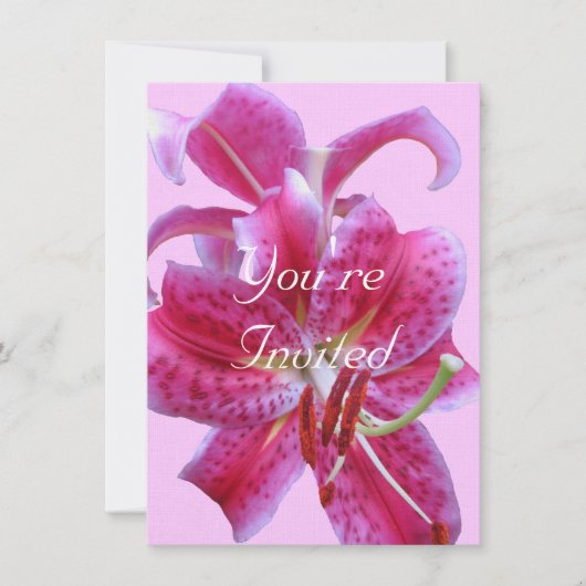 Uitnodiging van de dag—Het Overzicht van Stargazer (Voorkant)